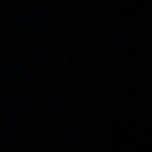 Meet your Posher, Antonesha